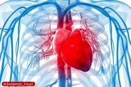  4عامل تهدیدکننده سلامت قلب /راهکار چیست؟