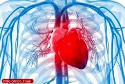  4عامل تهدیدکننده سلامت قلب /راهکار چیست؟