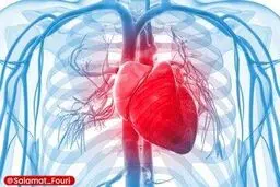  4عامل تهدیدکننده سلامت قلب /راهکار چیست؟