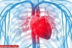  4عامل تهدیدکننده سلامت قلب /راهکار چیست؟