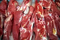 قیمت گوشت ارزان شد/ ورود گوشت ۷۲۰ هزار تومانی به بازار