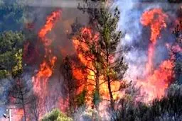 جزئیات آتش‌سوزی در جنگل‌های سیاهکل و رودبار