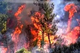 جزئیات آتش‌سوزی در جنگل‌های سیاهکل و رودبار