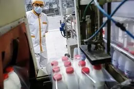 قیمت جدید شیر خام اعلام شد