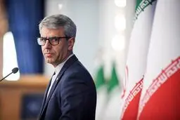 بقایی: کارکنان سفارت انگلیس حدود دو هفته قبل به تهران بازگشتند+ ویدیو
