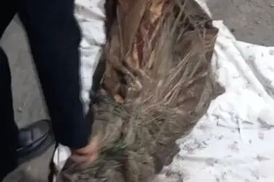 پایان ۶ سال بی‌خبری از زن مفقودشده؛ راز باغچه مغازه کله‌پزی فاش شد