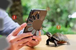 تجار می‌توانند روزانه ۲۰ دقیقه با حضور ناظر از اینترنت استفاده کنند