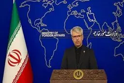 بقائی: خط ارتباطی میان ایران و آمریکا از مجرای سیاسی است/ تصمیم در نشست سوئیس گرفته شد+ویدیو