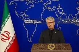 بقائی: خط ارتباطی میان ایران و آمریکا از مجرای سیاسی است/ تصمیم در نشست سوئیس گرفته شد+ویدیو