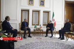 دیدار وزیر کشور پاکستان با وزیر امور خارجه ایران در تهران+ویدیو