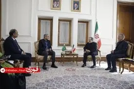 دیدار وزیر کشور پاکستان با وزیر امور خارجه ایران در تهران+ویدیو