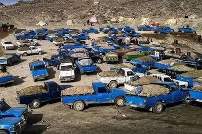 انهدام یک باند قاچاق سوخت در مرز باشماق