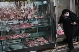 گوشت گاومیش با نام گوشت گوساله فروخته می‌شود؛ اتحادیه دام سبک نسبت به قیمت‌های غیرمنطقی هشدار داد