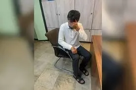 سارق منزل یکی از سفرای مقیم تهران در کمتر از ۶ ساعت دستگیر شد+ ویدیو