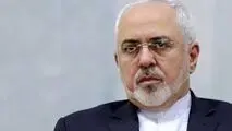  ظریف: دشمنان نتوانستند ملت بزرگ ایران را به زانو درآورند و هیچ گاه نخواهند توانست+ ویدیو