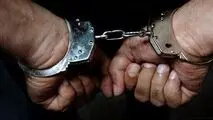 بازداشت ۶۵ عامل اصلی اقدامات تروریستی و تخریبگر اموال مردم در هرمزگان