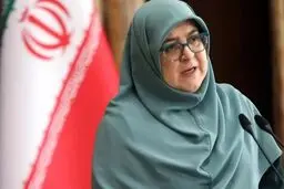 مرغ ۲۵۵ هزار تومانی در راه است/ واکنش سخنگوی دولت به نگرانی‌ها درباره ذخایر مرغ