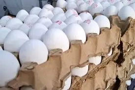 قیمت تخم مرغ اعلام شد، یک شانه تخم مرغ در بازار چند؟ 