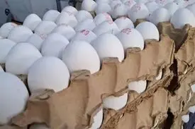 کف قیمت هر شانه تخم‌مرغ ۳۷۰ تومان شد