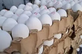 کف قیمت هر شانه تخم‌مرغ ۳۷۰ تومان شد