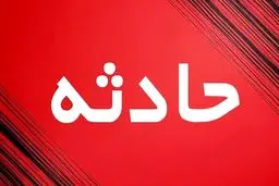 پسر بیمار، مادرش را با چکش کًشت