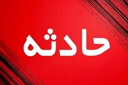 پسر بیمار، مادرش را با چکش کًشت