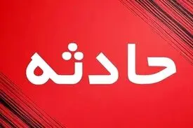 پسر بیمار، مادرش را با چکش کًشت