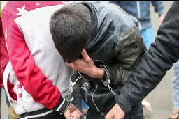 دو برادر دوقلو به بهانه واکسیناسیون از سالمندان تهرانی سرقت می‌کردند