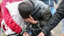 دو برادر دوقلو به بهانه واکسیناسیون از سالمندان تهرانی سرقت می‌کردند