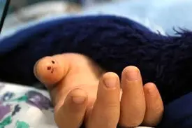 قتل یا حادثه؟ مرگ اسرارآمیز دختر خردسال اهوازی با اصابت گلوله