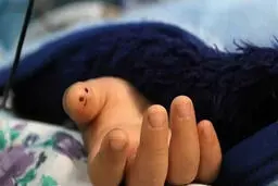 قتل یا حادثه؟ مرگ اسرارآمیز دختر خردسال اهوازی با اصابت گلوله
