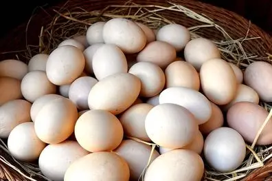 لغو ممنوعیت صادرات تخم‌مرغ با کاهش قیمت