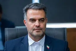 سخنگوی قوه قضاییه: بازگشت کامل ۱۷۲ میلیون یورو تعهد ارزی به خزانه؛ ۷۵ میلیون یورو نقد و ۹۷ میلیون یورو حواله
