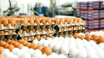 علت کاهش قیمت تخم‌مرغ چه بود؟