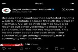 مرندی: دو حکومت عربی متحد آمریکا با ایران تماس گرفتند تا شرایط ایران در تنگه را بپذیرند
