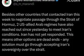 مرندی: دو حکومت عربی متحد آمریکا با ایران تماس گرفتند تا شرایط ایران در تنگه را بپذیرند