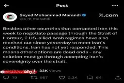 مرندی: دو حکومت عربی متحد آمریکا با ایران تماس گرفتند تا شرایط ایران در تنگه را بپذیرند