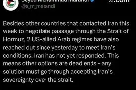 مرندی: دو حکومت عربی متحد آمریکا با ایران تماس گرفتند تا شرایط ایران در تنگه را بپذیرند